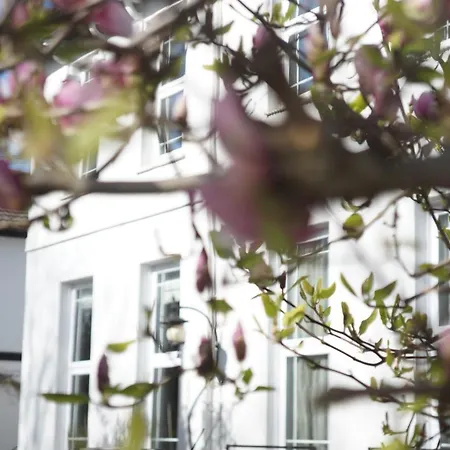 Stunning Pied-A-Terre Moments From The Water. Apartment Netley Exterior photo
